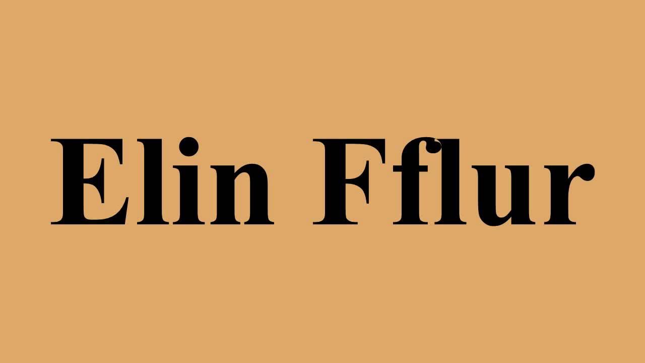 Elin Fflur