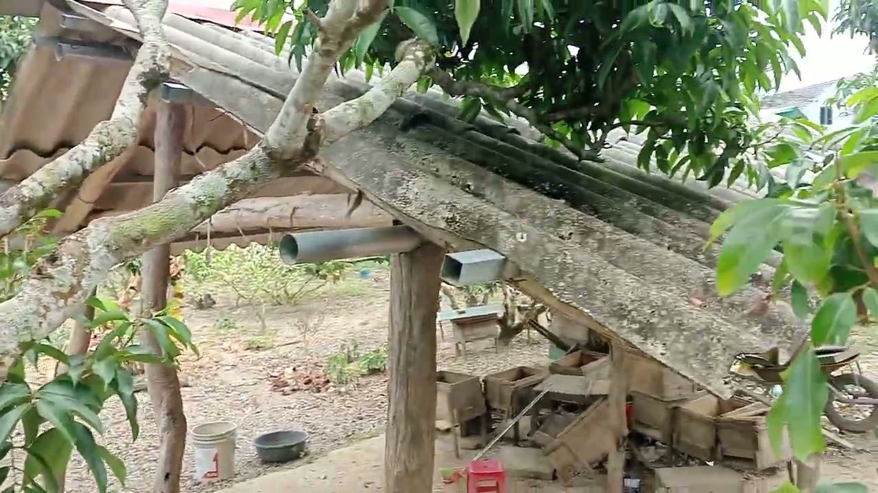 Năm mới thăm vải rất nhiều hoa và lộc