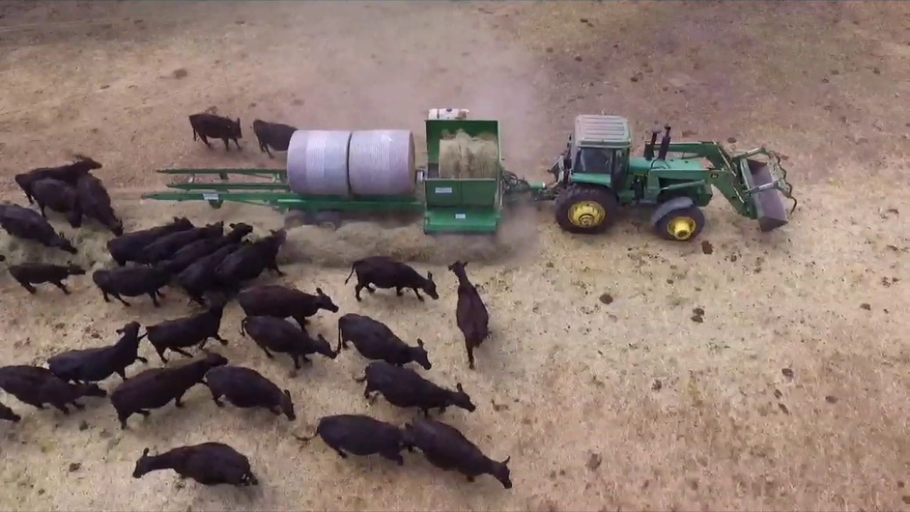 Kramer Ranch Hand Six Bale Processor