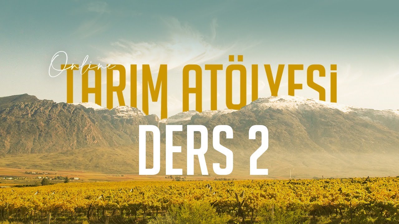 Online Tarım At&ouml;lyesi - Evinize K&uuml;&ccedil;&uuml;k Bir Bah&ccedil;e Kurmaya Ne Dersiniz?