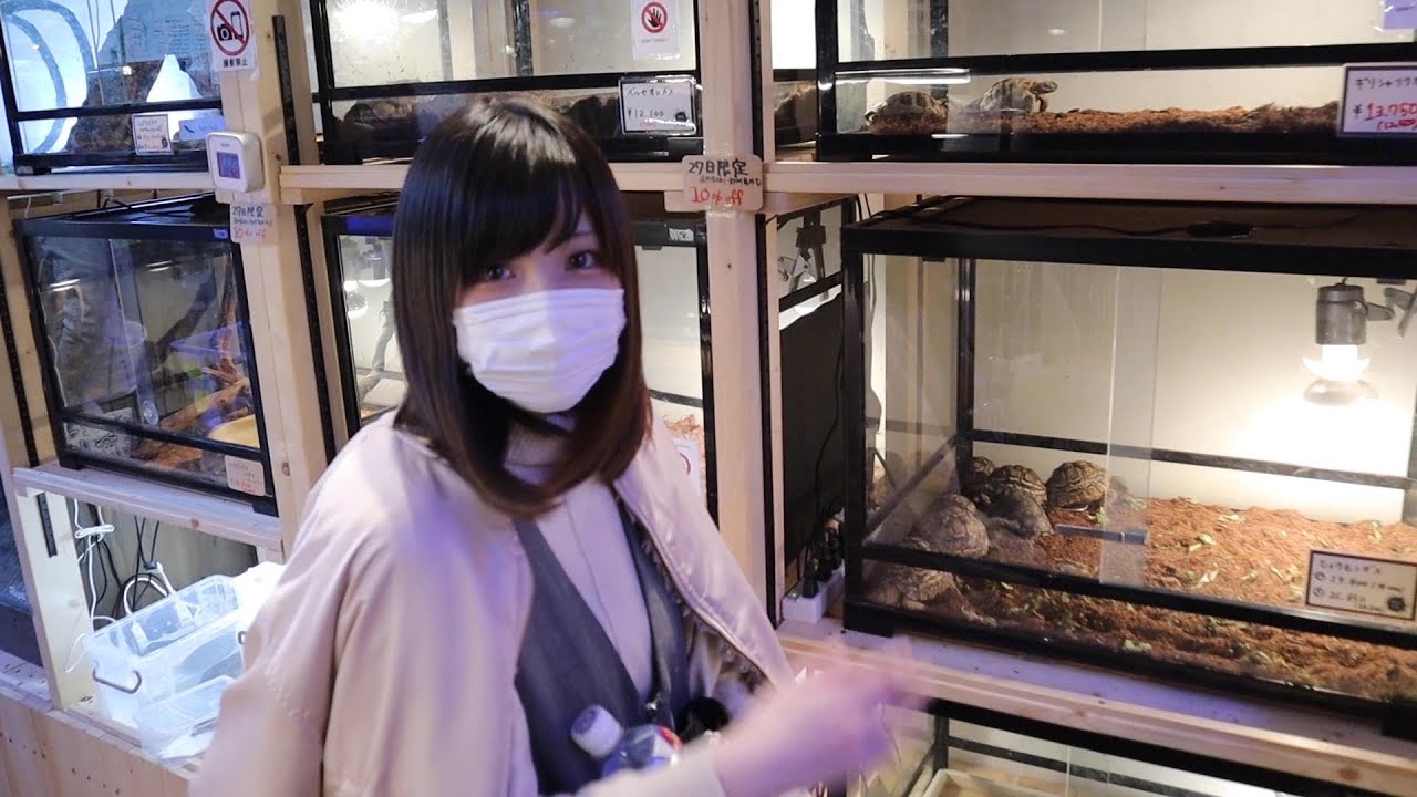 カメが飼いたい妻と爬虫類ショップへ・・・