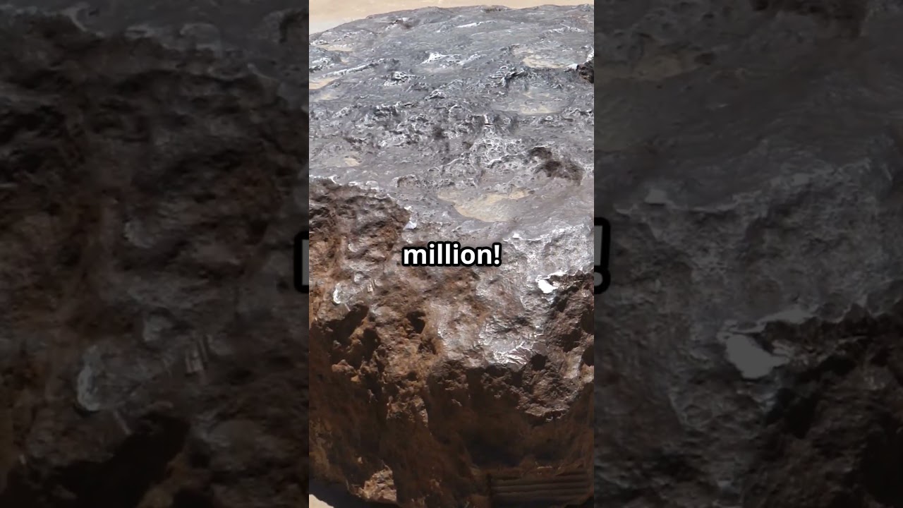 Mars Meteorite Sells for $5 3M at Auction!   