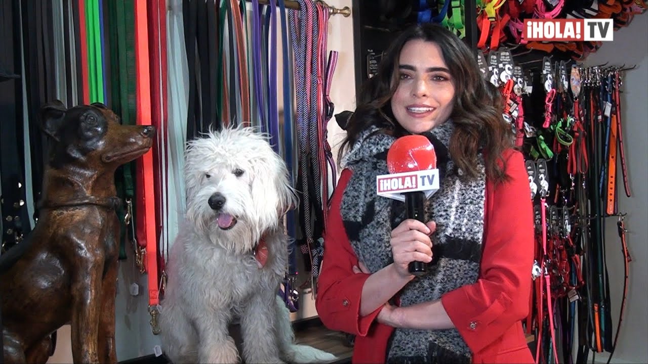 Scarlet Gruber confiesa por qué adoptó a su perro Iggy durante la pandemia | ¡HOLA! TV