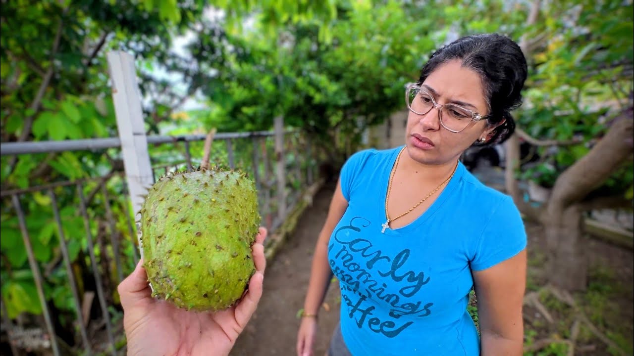 El Comején Está Acabando con los Frutos de la Finca 