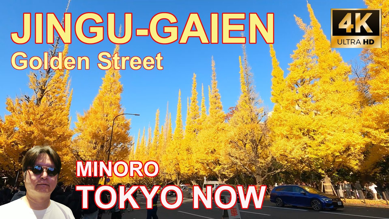 [4K] Tokyo’s Most Beautiful Fall Walk: The 300m Ginkgo Tree Tunnel at Jingu Gaien | 神宮外苑 @TOKYO NOW