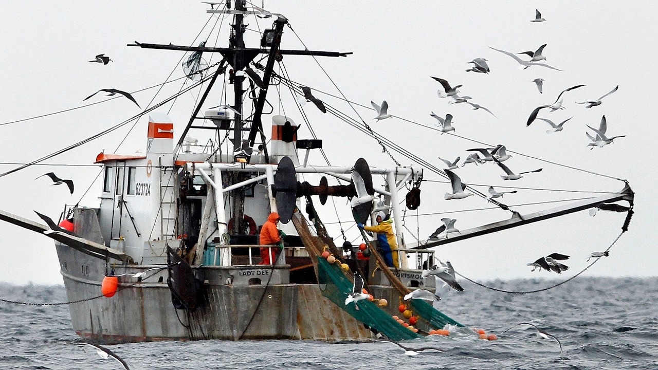 NOAA report: Gulf of Maine warming slowed for now, but ecosystem remains unstable