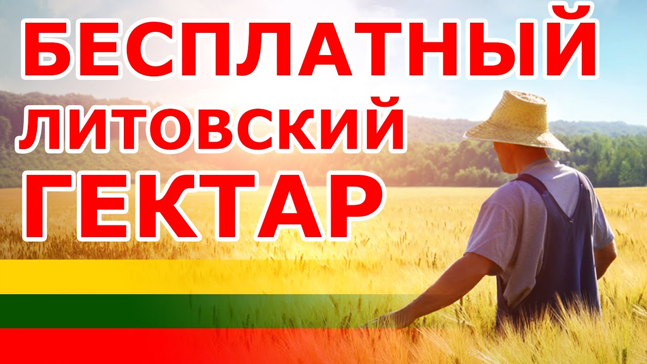 Бесплатный Литовский гектар 🏭 Бизнес в Литве