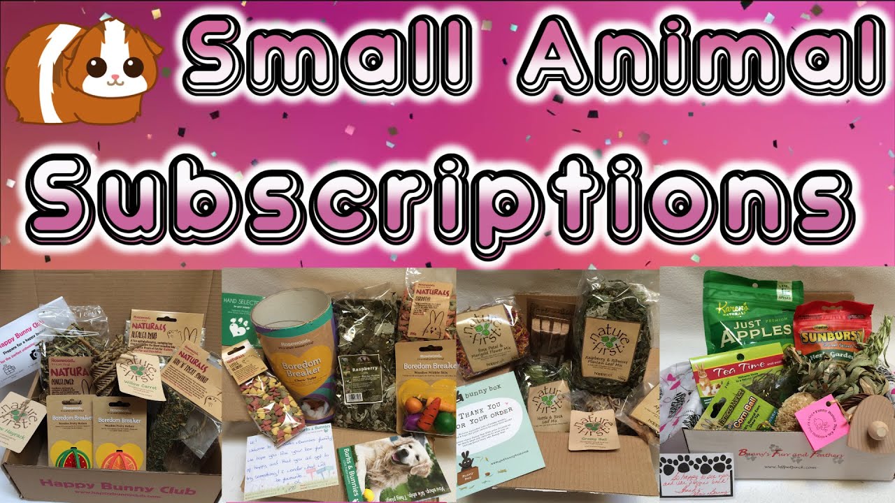 Small Animal Pet Subscription Boxes (Guinea Pig, Hamster, Rabbit)