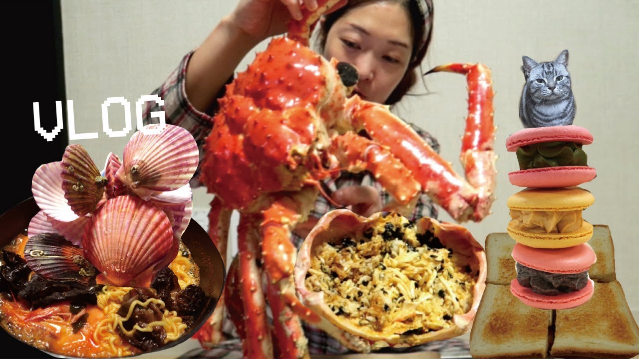 [먹방] 회식하고 운동하고 야근하고 5키로 뛰고 12시간 먹고 마시는 직장인 브이로그 (ft. 킹크랩, 게딱지밥, 해물라면, 짬뽕, 마카롱, 카야토스트)