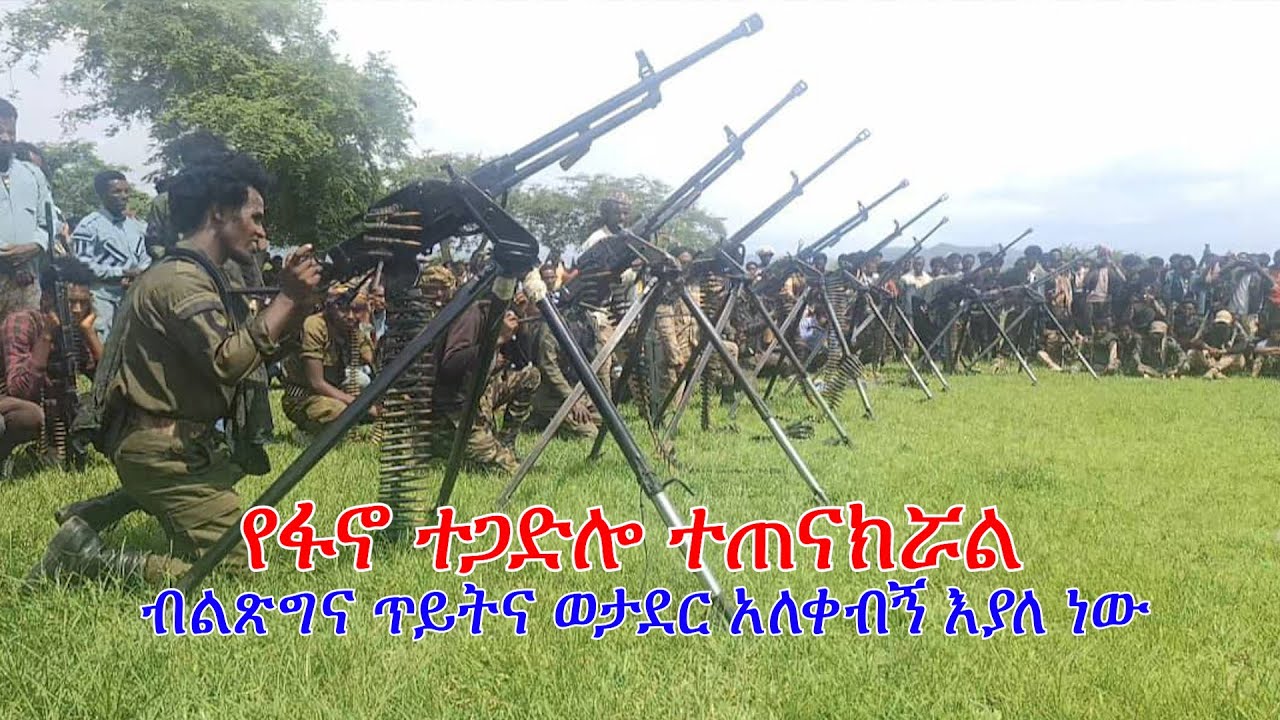 Anchor Fano News Nov 21 የፋኖ ተጋድሎ ተጠናክሯል፥ ብልጽግና ጥይትና ወታደር አለቀብኝ እያለ ነው፥ የቢቢሲ አስደንጋጭ ሪፖርት