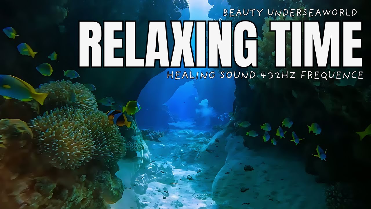Ocean Calm Therapy | Relaxing Underwater POV