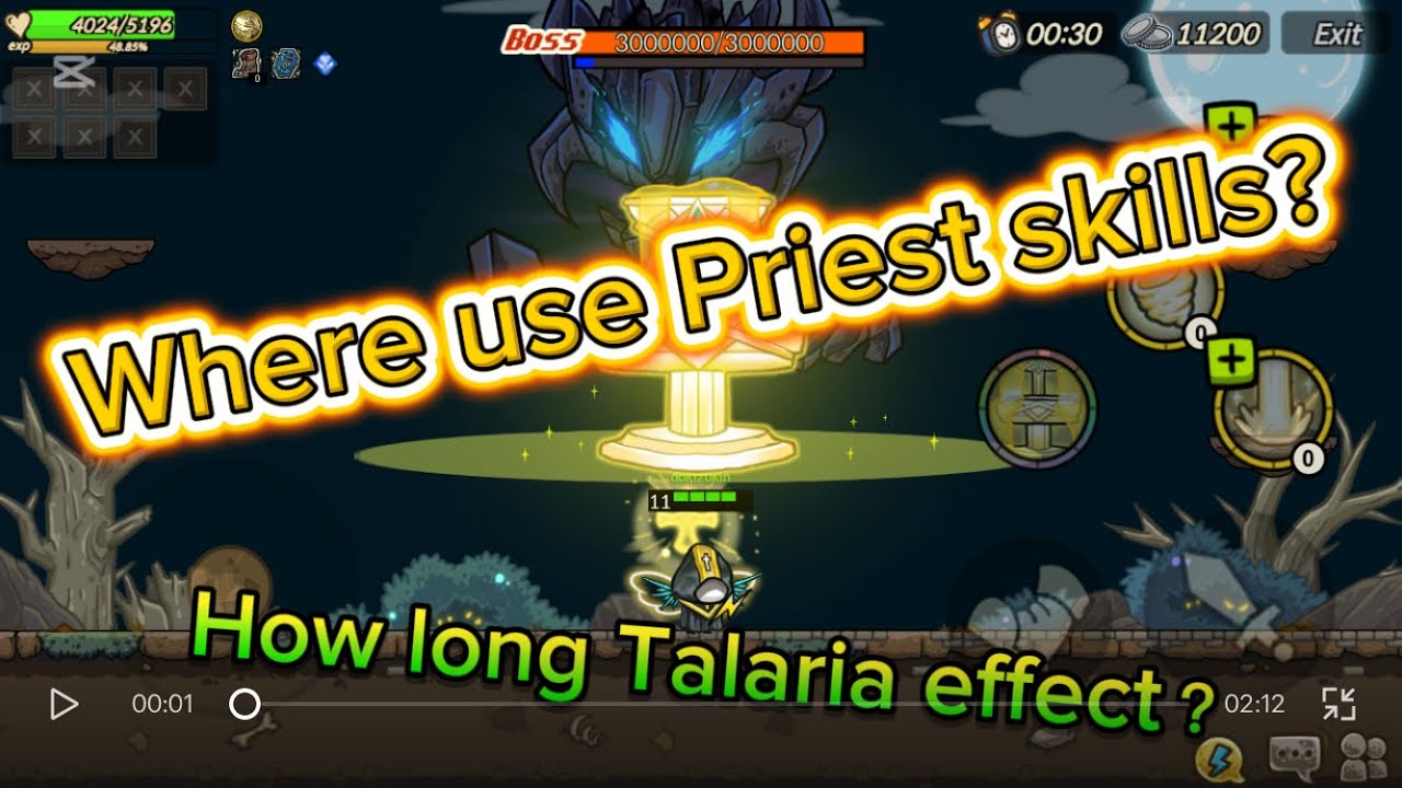 raid12 Druid and Priest Testing