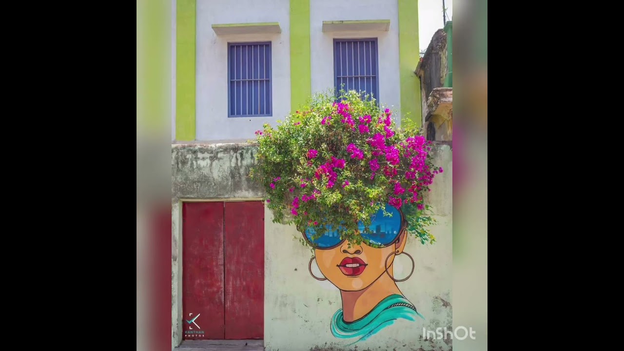 Pondicherry wall arts 🖌️#white town#little france🇨🇵#french city❤️#shorts #like👍