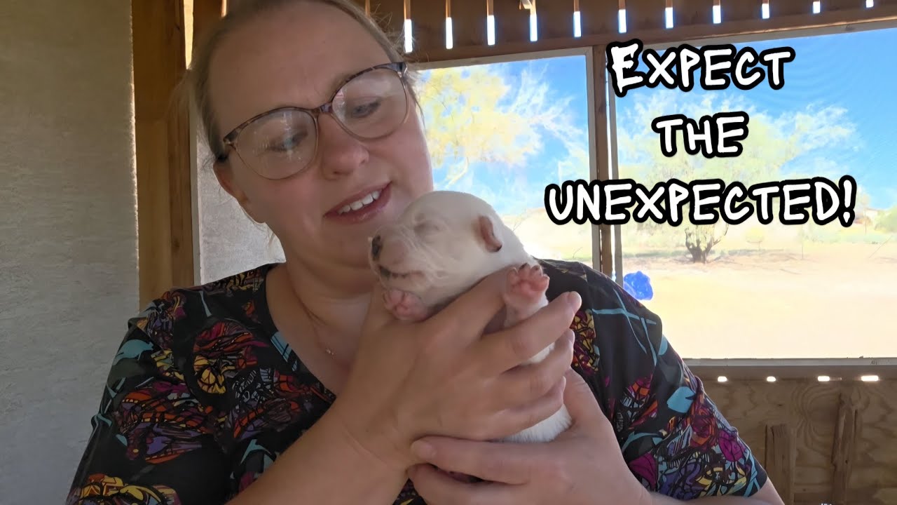 Expect the Unexpected! 