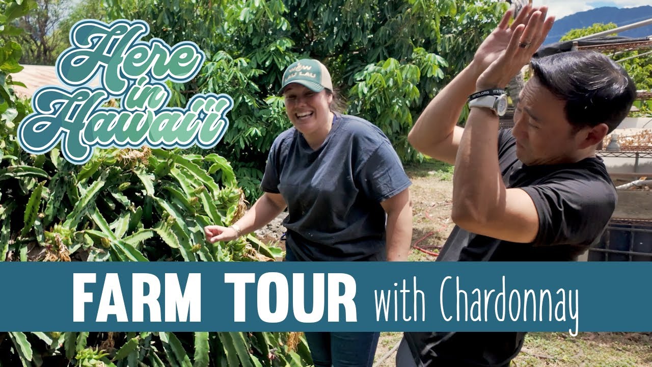 Pig Farming in Waiʻanae | Chardonnay | HIH 01-01