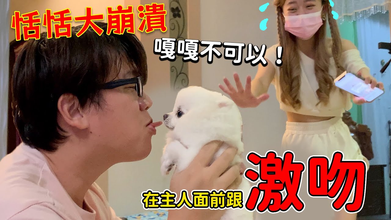 在主人面前激吻！嘎嘎會喜歡攝影大哥的舌吻嗎？恬恬大崩潰！大喊嘎嘎不可以！整人系列！最愛.吃貨們