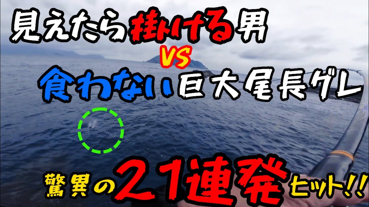 尾長グレを見て掛ける！21連発を生んだ読みと技＠鵜来島