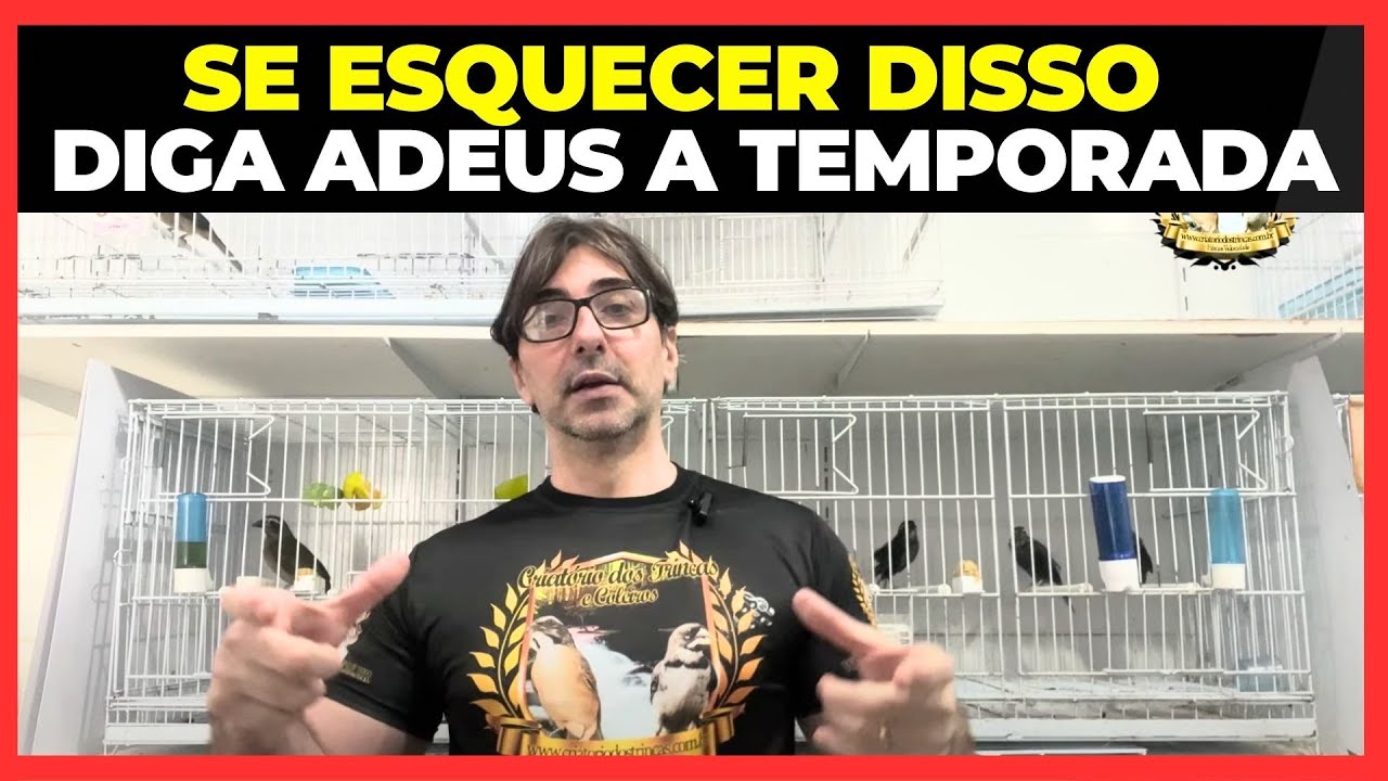 Como se Programar para a Época de Reprodução de Trinca Ferro
