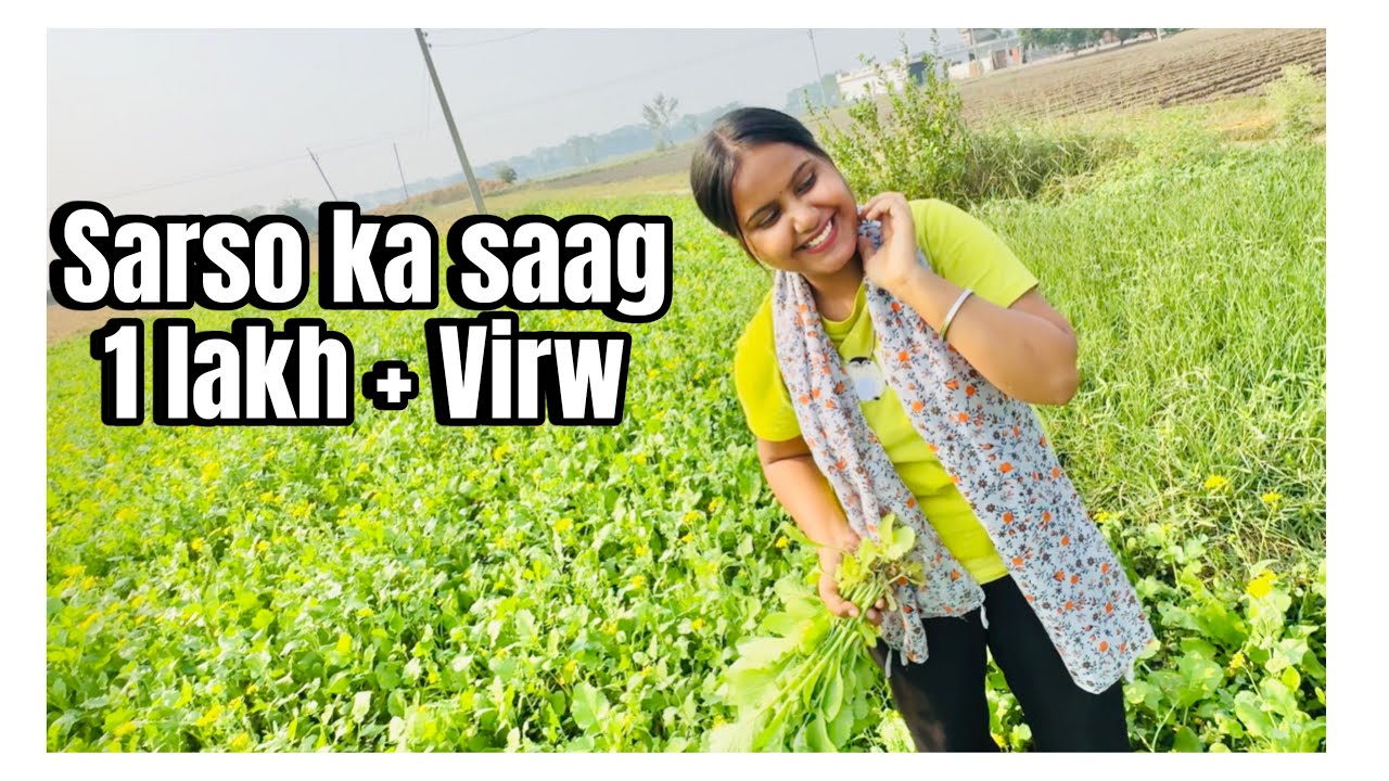 Ajj reet na Banaya sarso ka saag 🥬 check out the full vlog @Preetakashvlogs. ￼