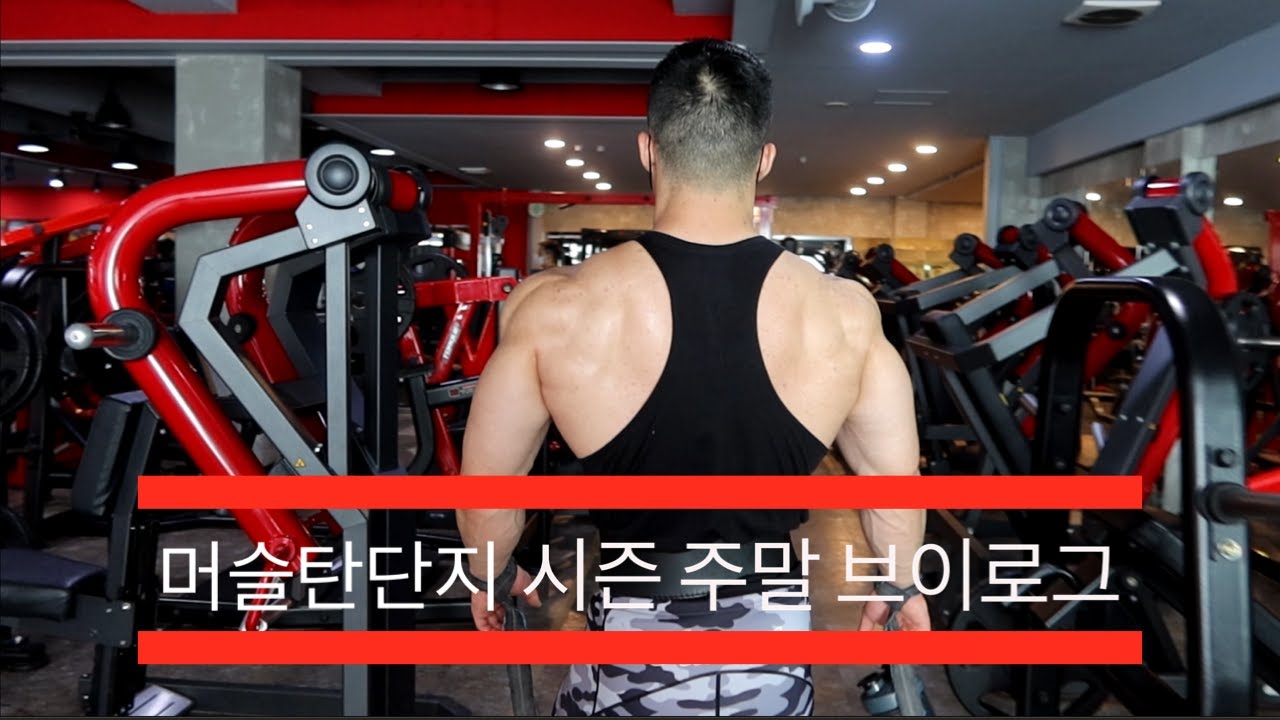 시즌 브이로그 다이어트식단 대공개 등운동 [머슬탄단지]