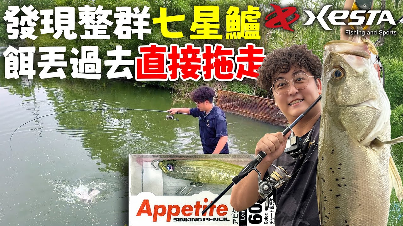 發現一整群的七星鱸 餌丟過去直接拖走 還中了半個人高的超巨物 feat 張小柚【跟我去中壢11-1養殖池】#xesta #Appetite #沉水鉛筆 #路亞 #釣魚 #萬用餌 #小搞搞