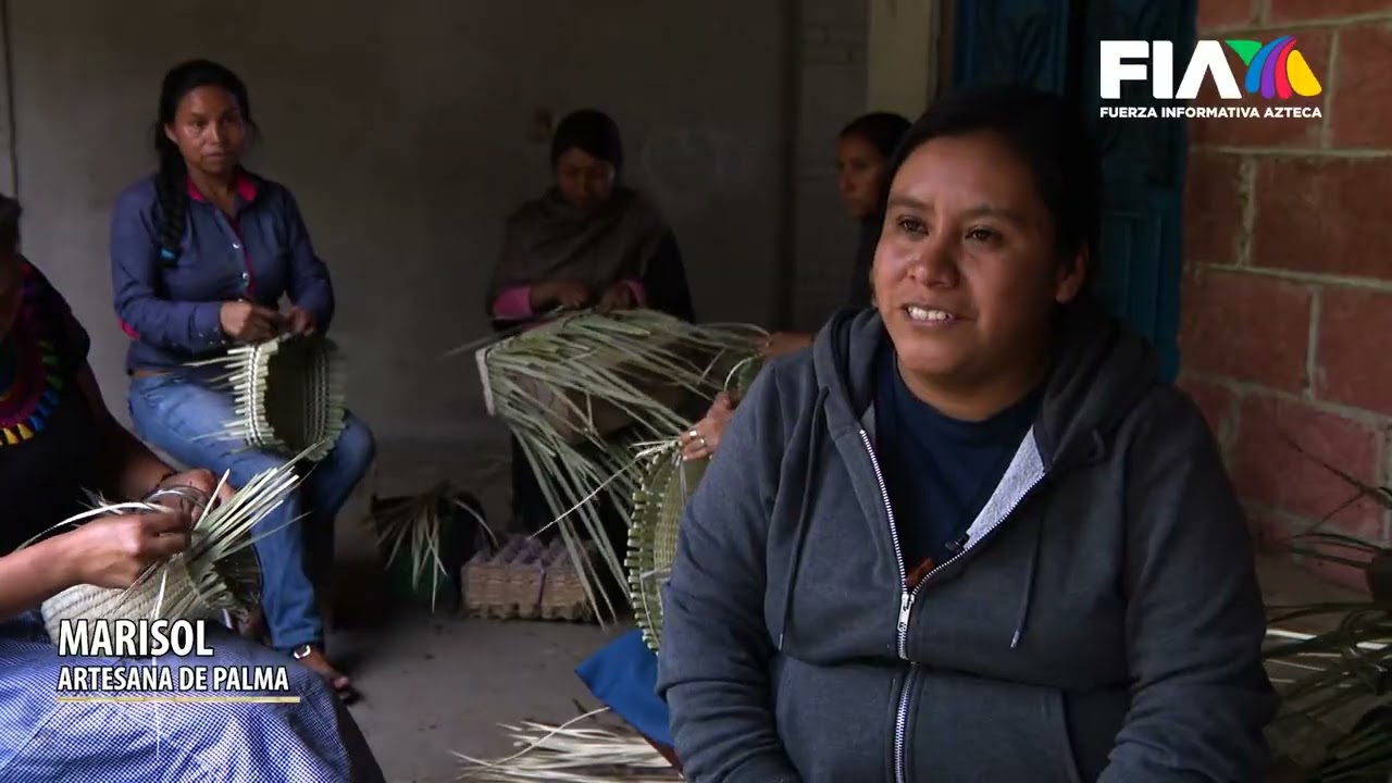La distancia y lejanía los mataba... pero innovar, aliarse y viralizar les dio valor: ACPALMA