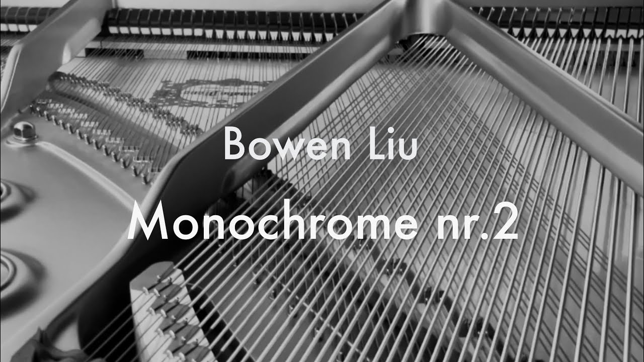 Monochrome nr.2, Bowen Liu