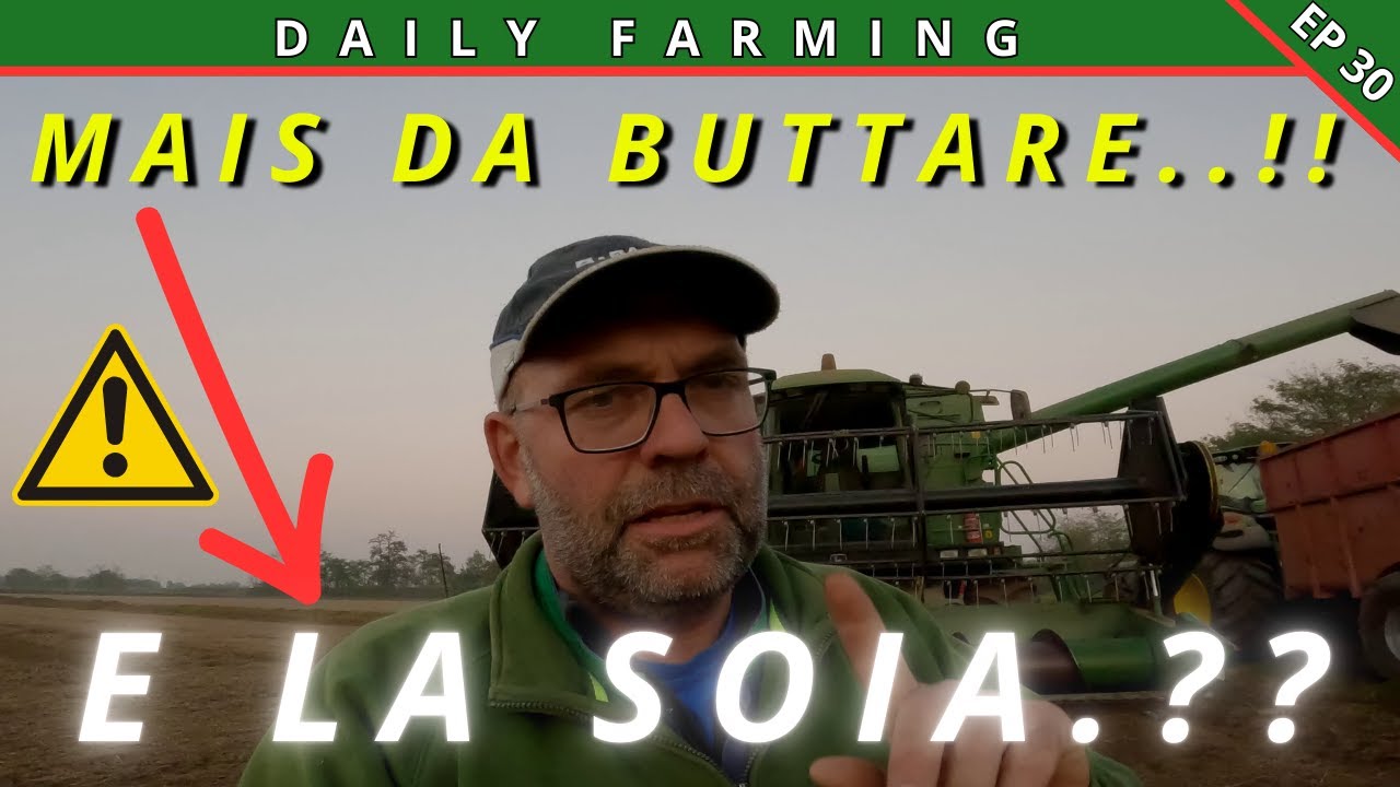 ** TREBBIATURE MAIS E SOIA ** | FINALE DISASTROSO | DAILY FARMING EP 30