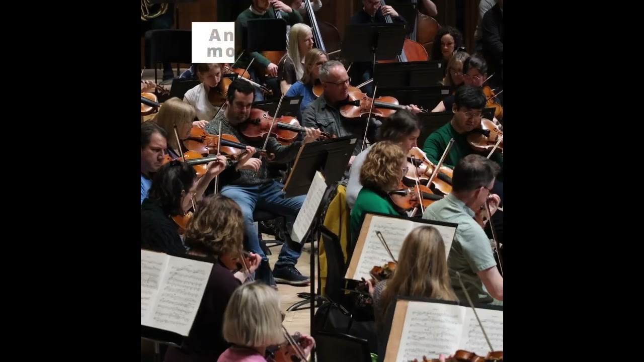 &ldquo;The Sound of Silk and Symphony&rdquo; Gao Hong Live with the Royal Philharmonic Concert Orchestra