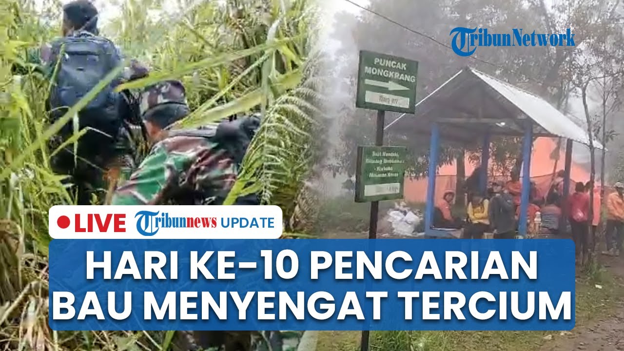 🔴 LIVE: Tim SAR Cium Bau Menyengat di Hari ke-10 Pencarian Pendaki Hilang di Bukit Mongkrang