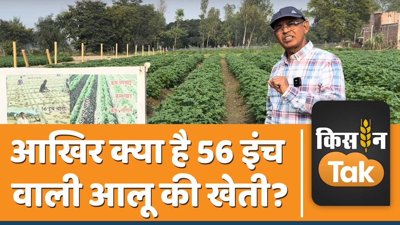 Padma Shri से सम्मानित किसान का कमाल, आलू की खेती का नया तरीका खोज निकाला, हजारों किसानों को फायदा