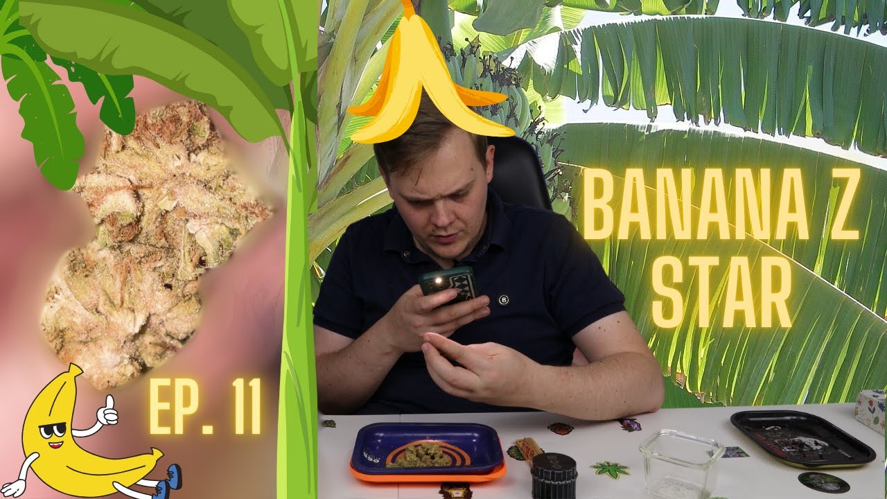 Probavanje Trava S01E11 - Banana Z Star (KO KURAC AL EKSTRA)