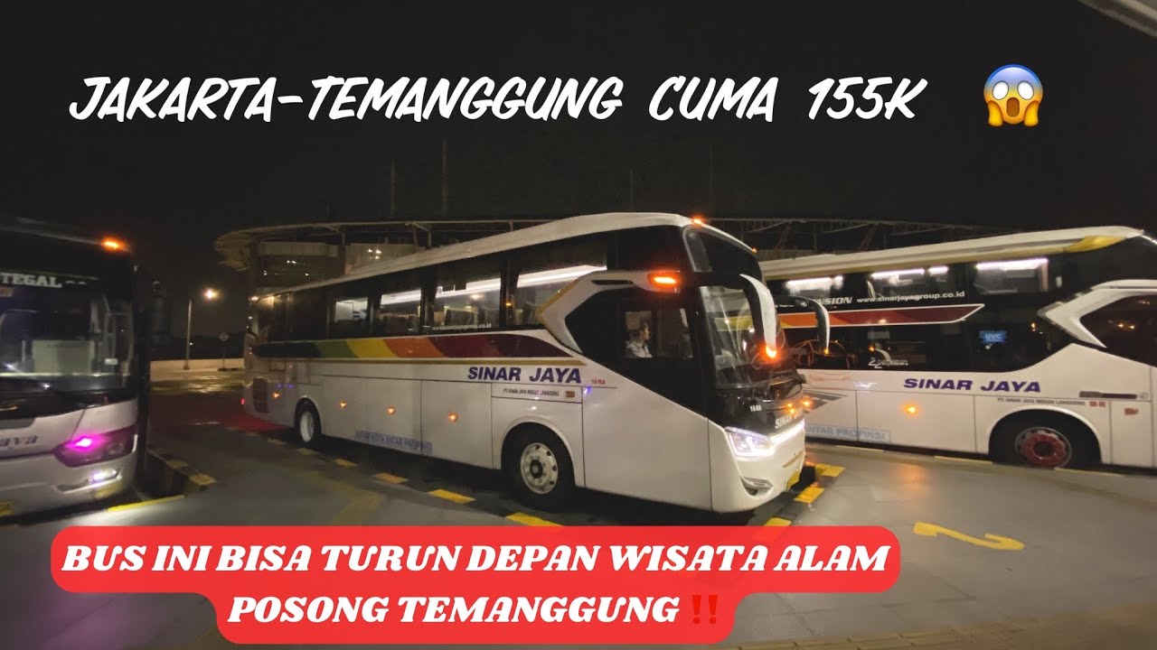 BUS TERMURAH BUAT LIBURAN KE TEMANGGUNG‼️ Sinar Jaya  Jakarta-Wonosobo via PARAKAN