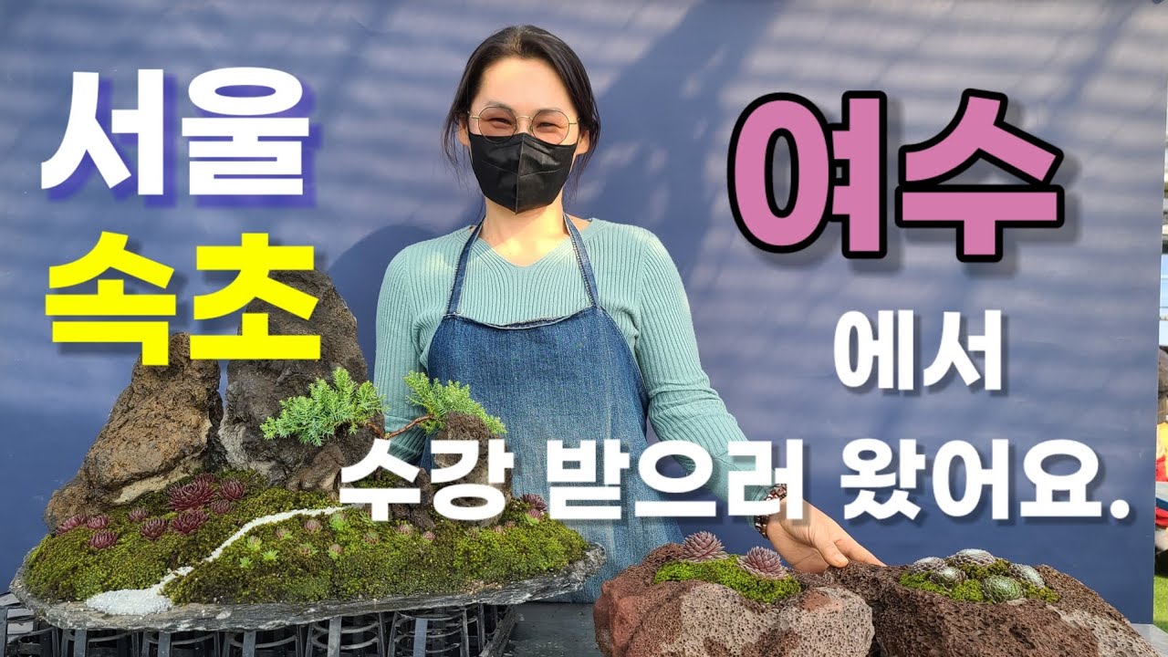 전국에 소문난 분경 석부작수강 그것도 무료수강 (여기를 눌러보세요)