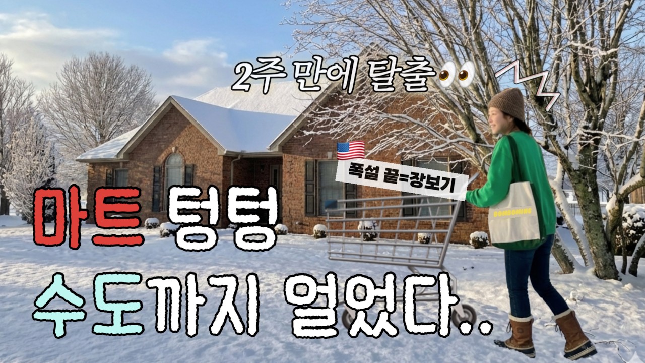 역대급 스노우스톰 그 이후❄️ 2주 만에 미국시골집 탈출, 폭풍 장보기 ! 나의 슬로우 라이프👀