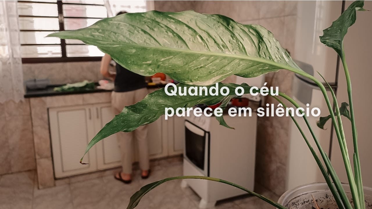 VLOG - Aprendendo a confiar no silêncio de Deus. Rotina simples no lar.
