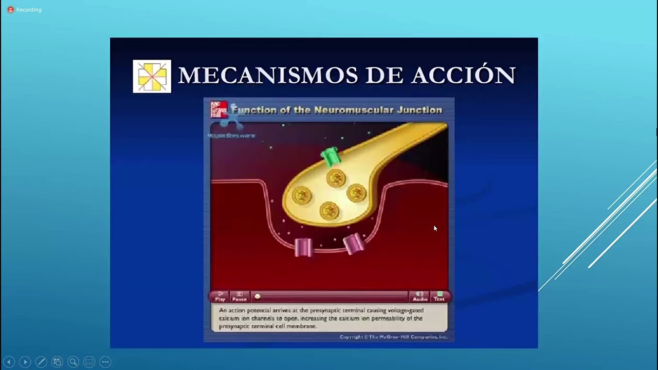 ANESTESIOLOGIA: Relajantes musculares (11 de abril)