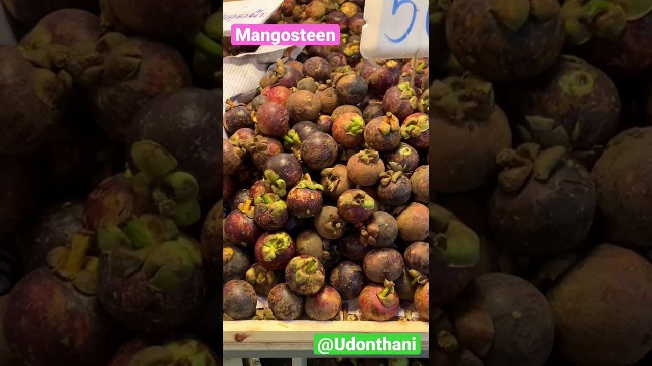 【Udonthani】果物の王様と女王　Fruits King and Queen 