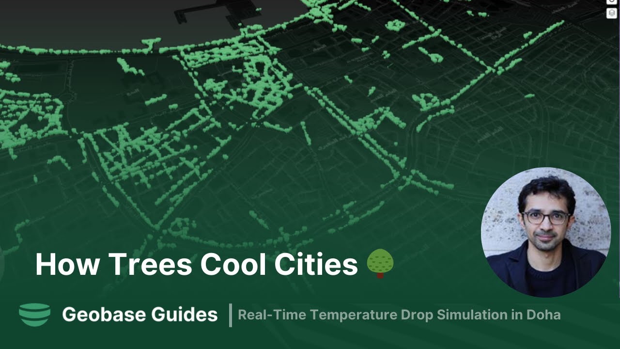 Cooling the City  How Trees Lower Temperatures in Urban Areas