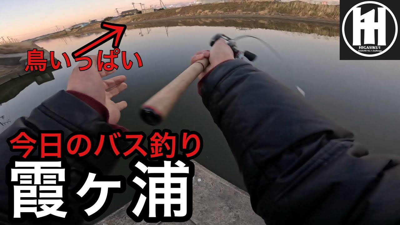 バス釣り霞ヶ浦！ベイトがたくさんいる流入河川⁈2026年2月4日