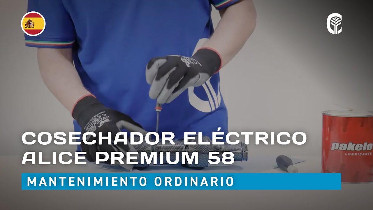 🇪🇸 Mantenimiento ordinario: CAMPAGNOLA ALICE PREMIUM 58