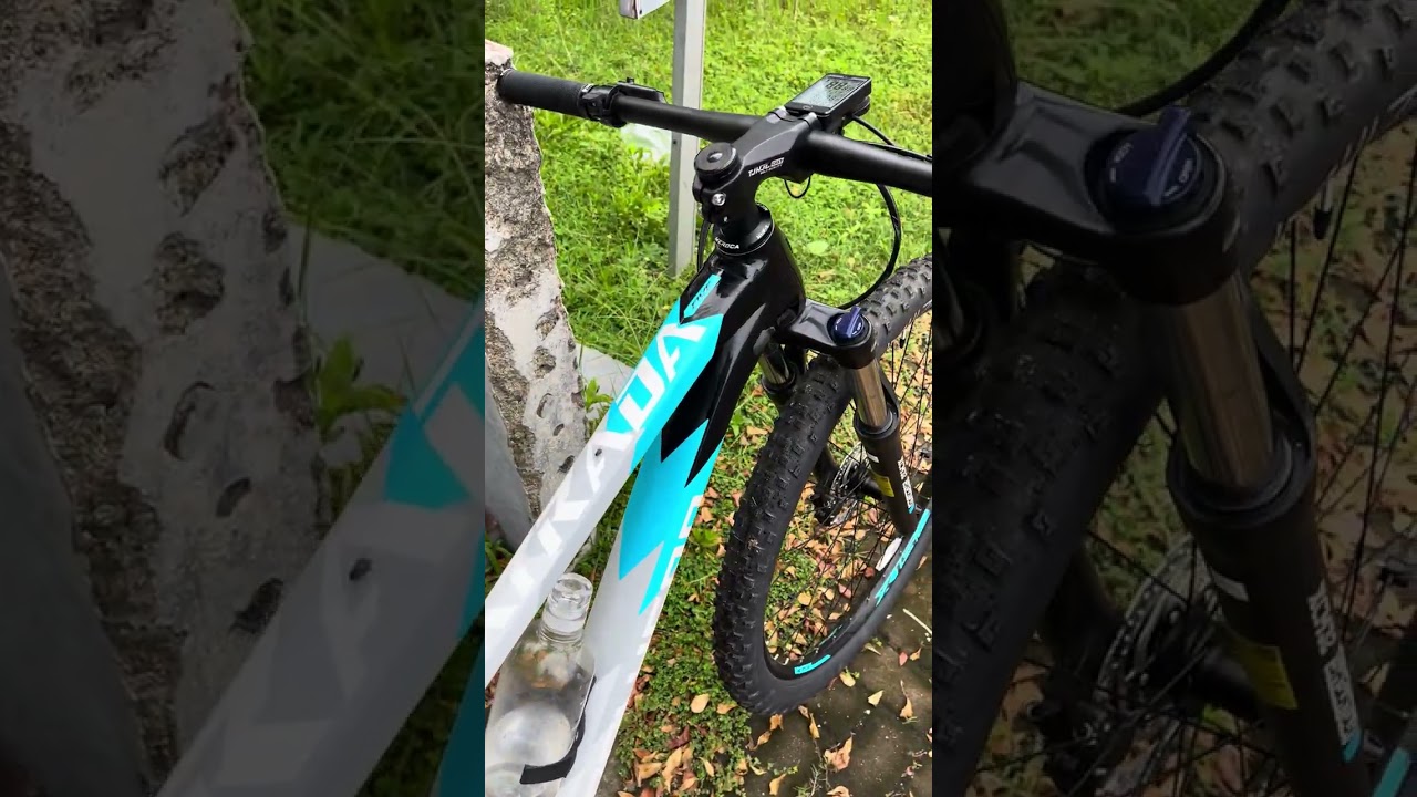 Riview sepeda mtb polygon xtrada 5 2025