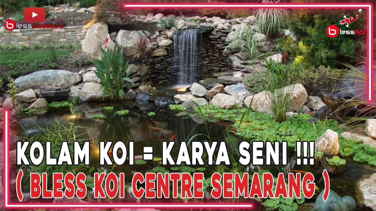 KOLAM KOI = KARYA SENI❗❗❗( BLESS KOI CENTRE SEMARANG )