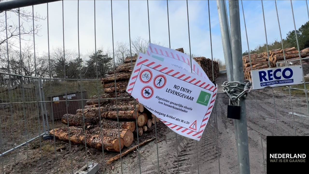 Schokkend! Bomenkap in Noordwijkerhout vrijdag 30 januari 2026