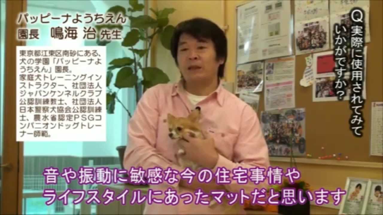 「マルチマットＭＵＮＹＵ（むにゅ）」　ペットの衝撃吸収マット