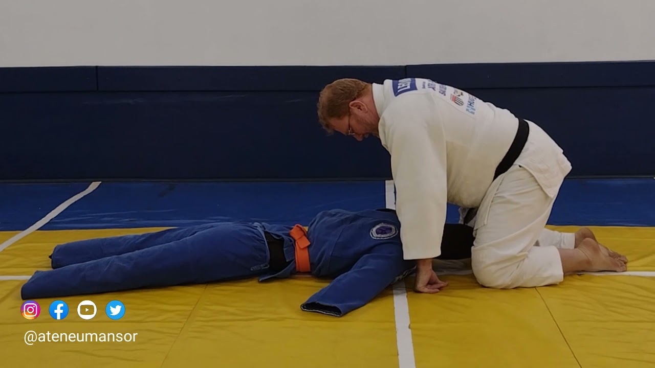 KAMI-SHIHO-GATAME (dicas para o estudo)