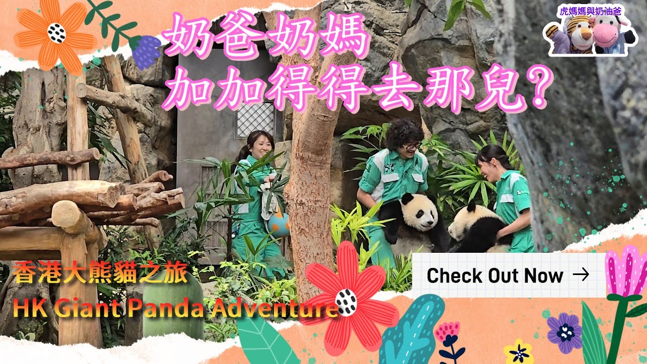 海洋公園大熊貓之旅 奶爸奶媽加加得得去那兒 #海洋公園 #oceanpark #香港大熊貓 #giantpanda #판다 #家姐細佬 #加加得得