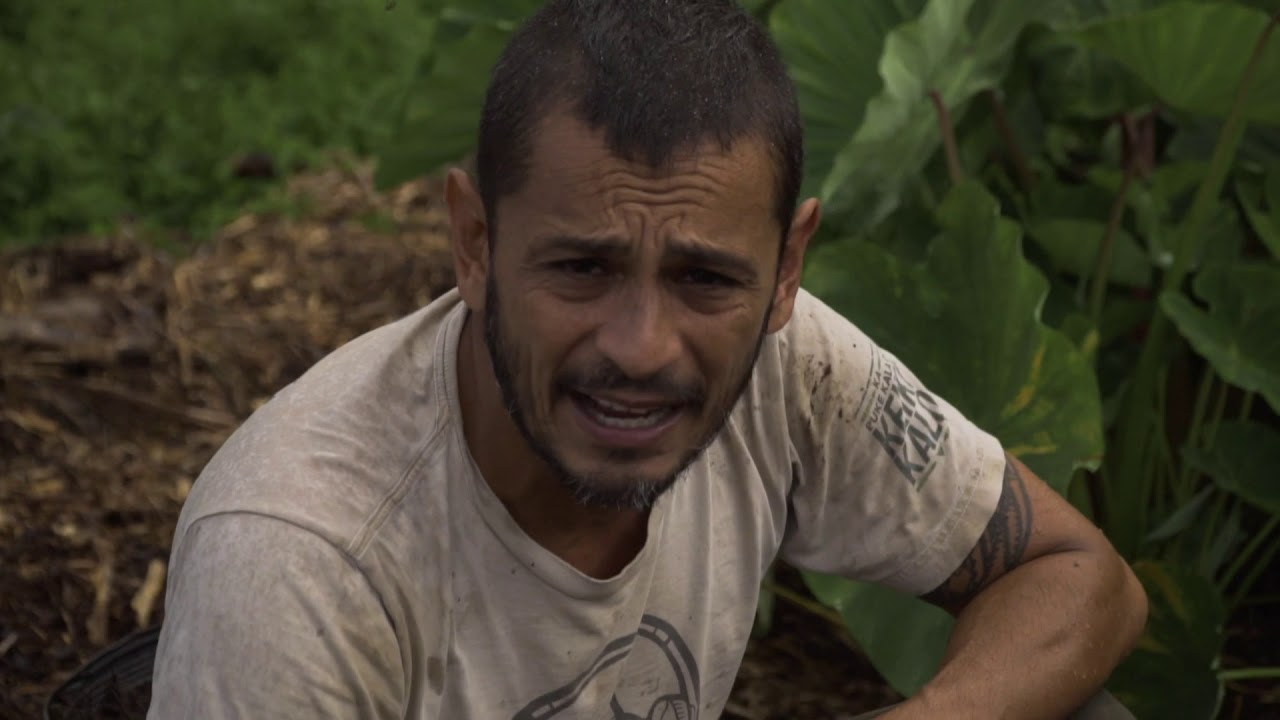 HOW WE PLANT HULI HERE ON THE FARM SCHOOL.