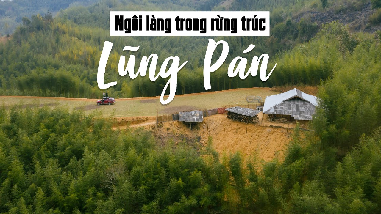 Ngỡ ngàng ngôi làng sống trong rừng trúc Lũng Pán, Bảo Lạc, Cao Bằng - Bamboo Forest Vietnam Travel