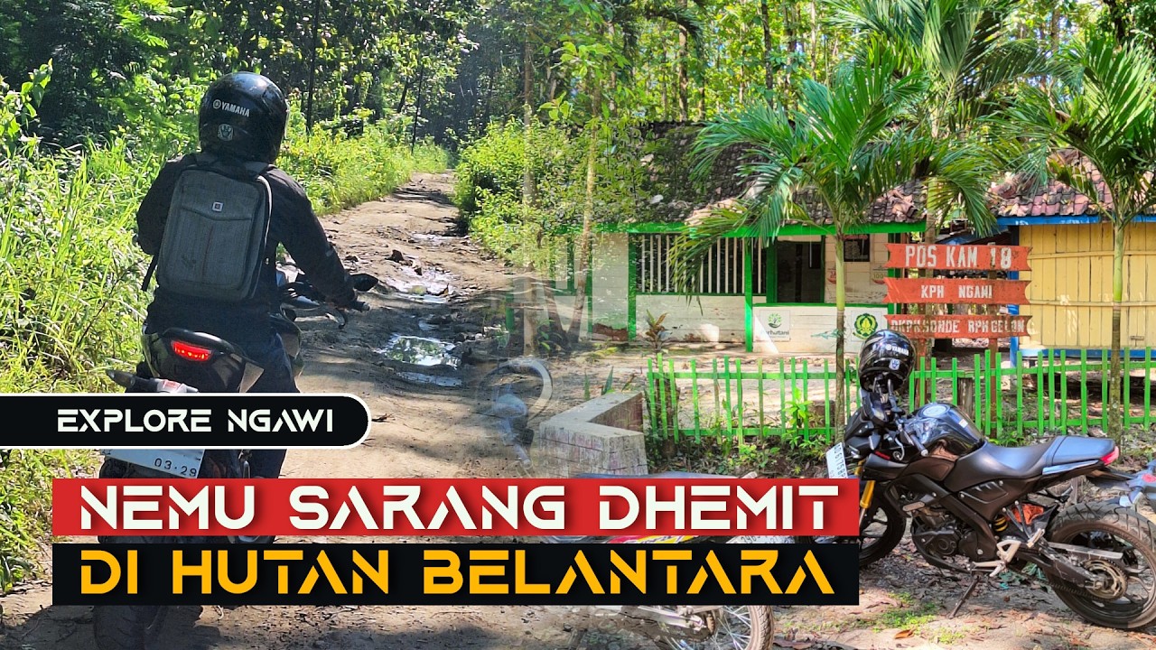 KAPOK! Touring di Hutan Belantara sampai Benteng Belanda